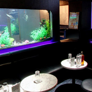 Googleストリートビュー公式認定代理店 株式会社フレックス