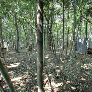 Googleストリートビュー公式認定代理店 株式会社フレックス