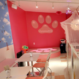 Googleストリートビュー公式認定代理店 株式会社フレックス