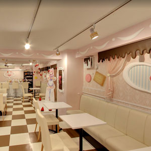 Googleストリートビュー公式認定代理店 株式会社フレックス