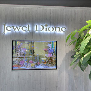 Googleストリートビュー公式認定代理店 株式会社フレックス