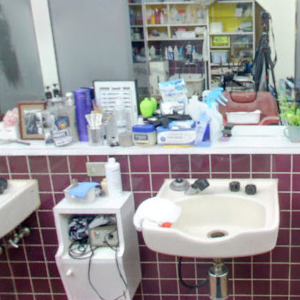 Googleストリートビュー公式認定代理店 株式会社フレックス