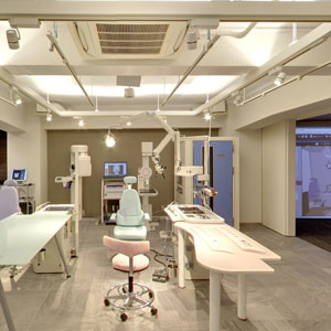 Googleストリートビュー公式認定代理店 株式会社フレックス