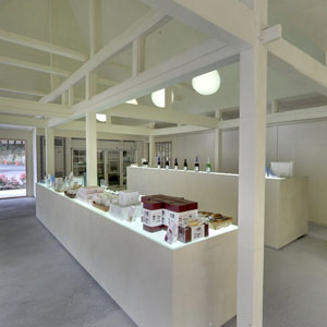 Googleストリートビュー公式認定代理店 株式会社フレックス