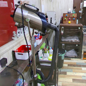 Googleストリートビュー公式認定代理店 株式会社フレックス