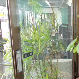 Googleストリートビュー公式認定代理店 株式会社フレックス