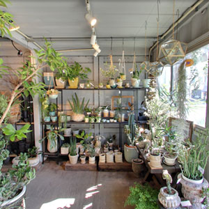 Googleストリートビュー公式認定代理店 株式会社フレックス