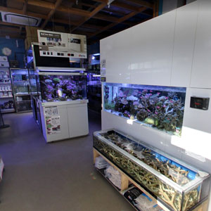 Googleストリートビュー公式認定代理店 株式会社フレックス