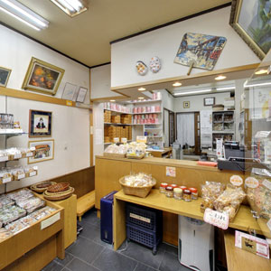 Googleストリートビュー公式認定代理店 株式会社フレックス