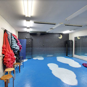 Googleストリートビュー公式認定代理店 株式会社フレックス